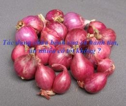 Thành phần của củ hành tím là gì?Ăn nhiều hành tím có tốt không?