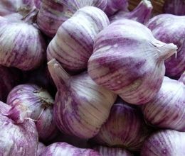 Khám phá về tác dụng chữa bệnh của hành và tỏi